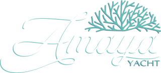 https://www.amayayacht.com/wp-content/uploads/2018/07/logo_amaya_bianco-320x145.png